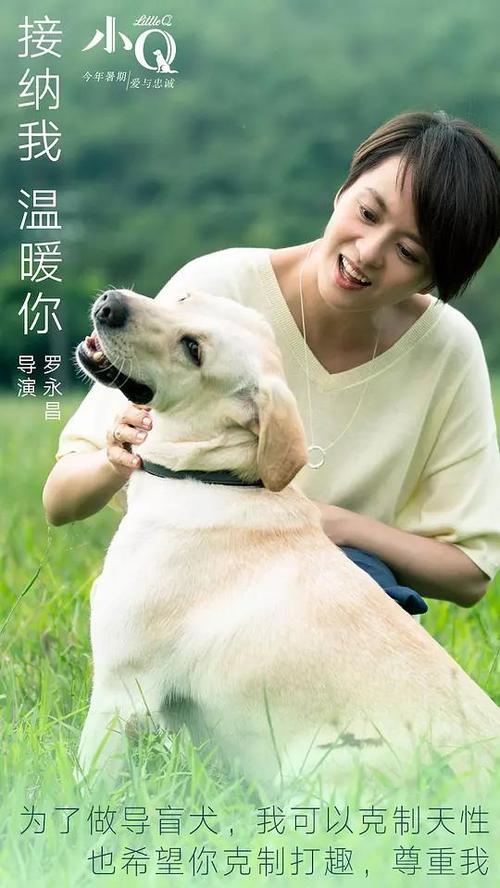 拉脱维亚护照模板怎么购买